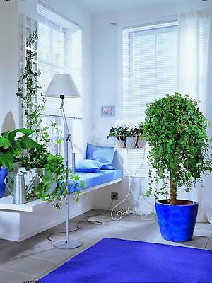 �������´��ڴ�ͼƬ