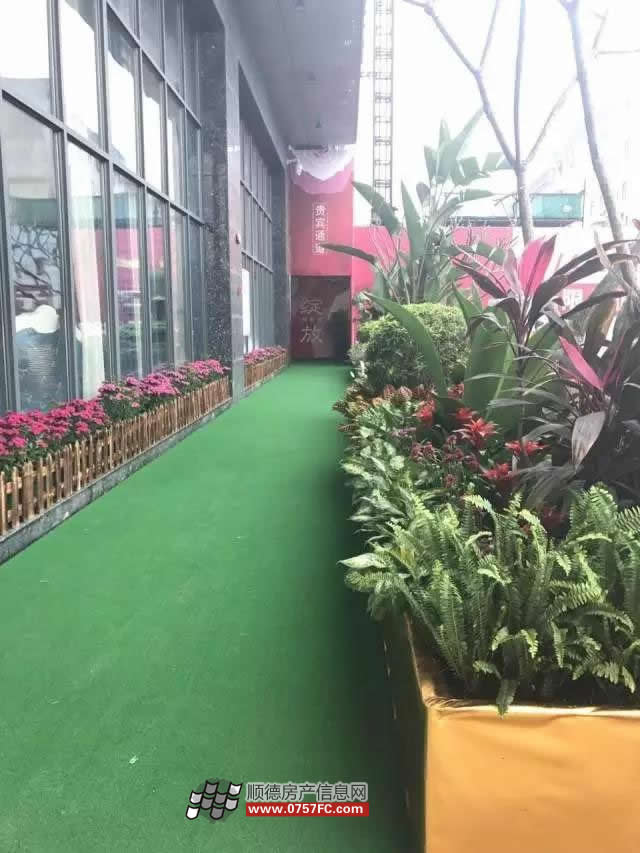 ע